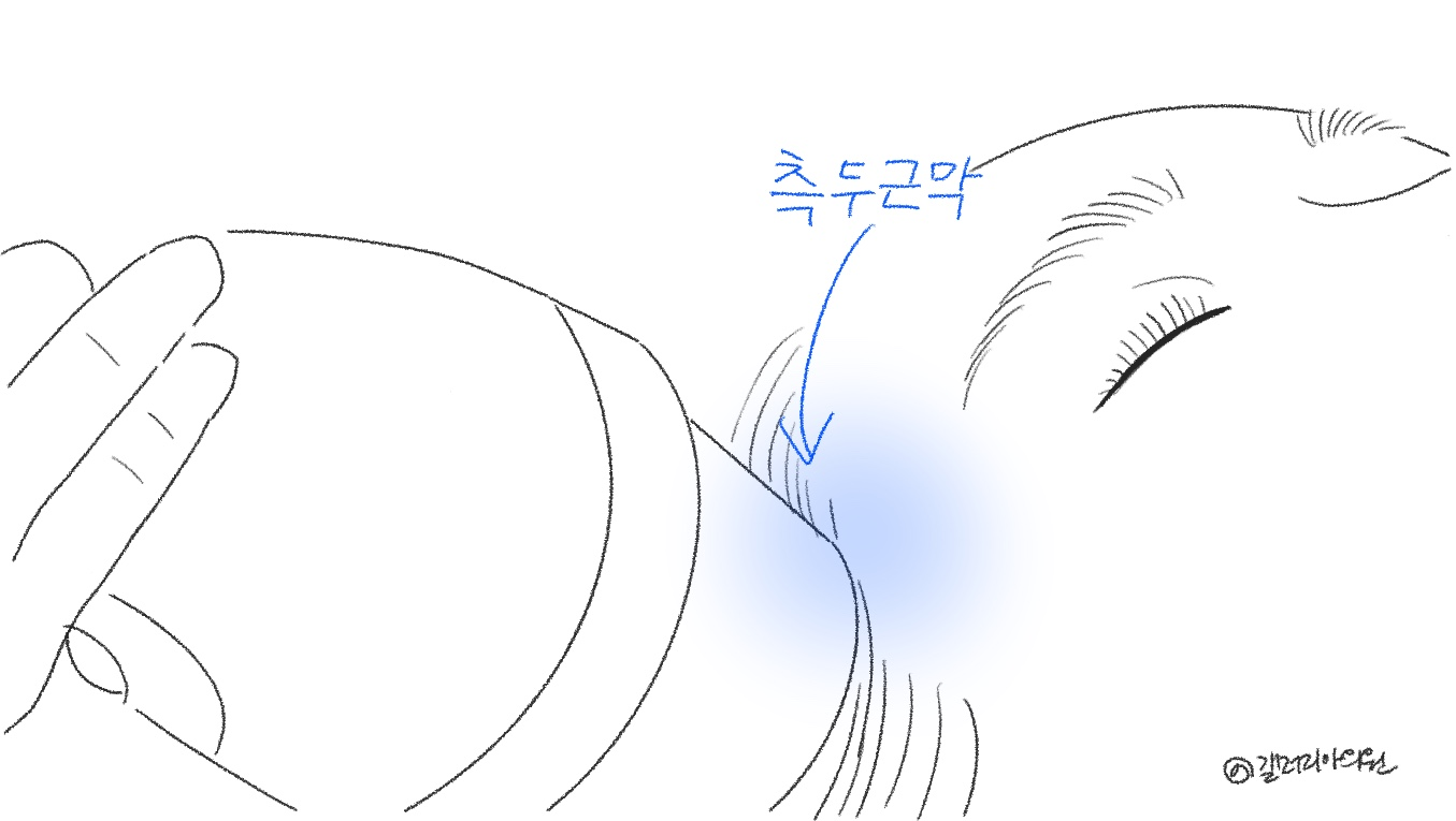 20251028_115304_69003010b380b.png 20251028_115304_69003010b380b.png