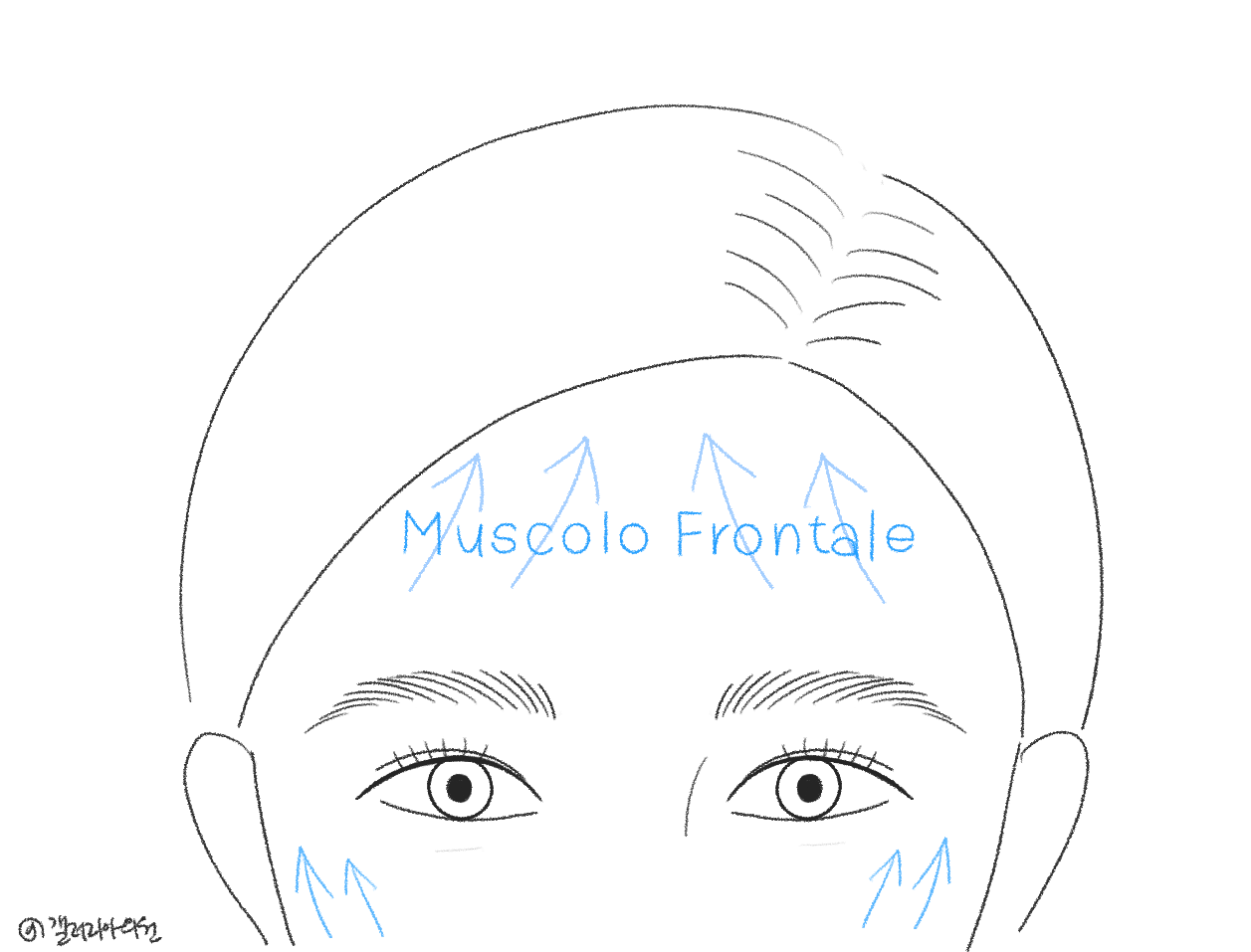 20251205_093052_693227bcdba25.png 20251205_093052_693227bcdba25.png