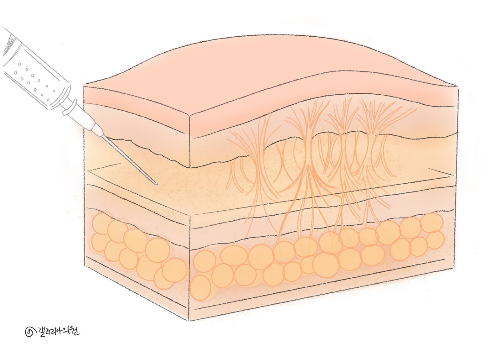 20251205_093217_6932281129fbe.png 20251205_093217_6932281129fbe.png