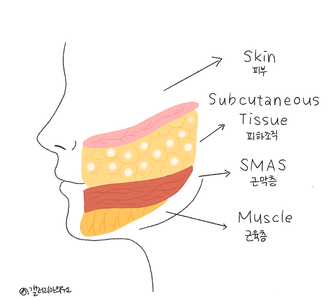 20251229_100023_6951d2a75550a.png 20251229_100023_6951d2a75550a.png