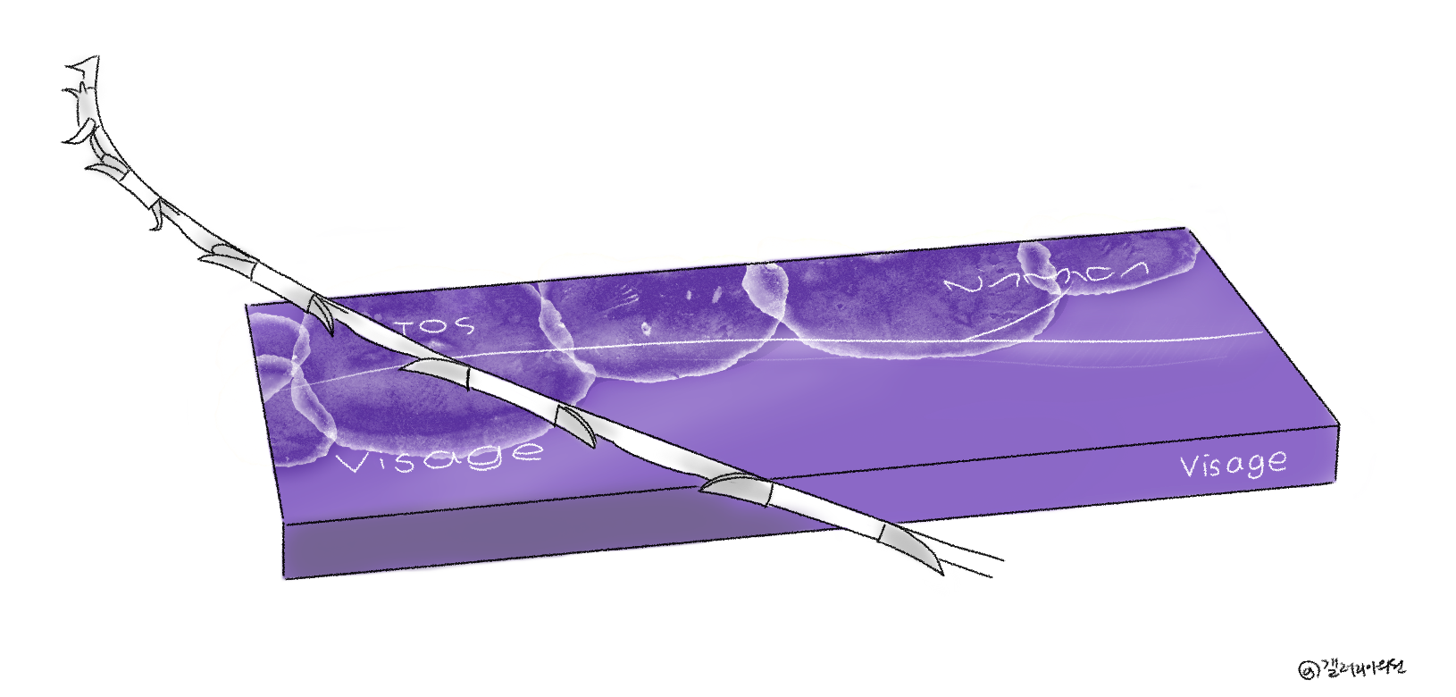 20260128_101602_6979635257da1.png 20260128_101602_6979635257da1.png