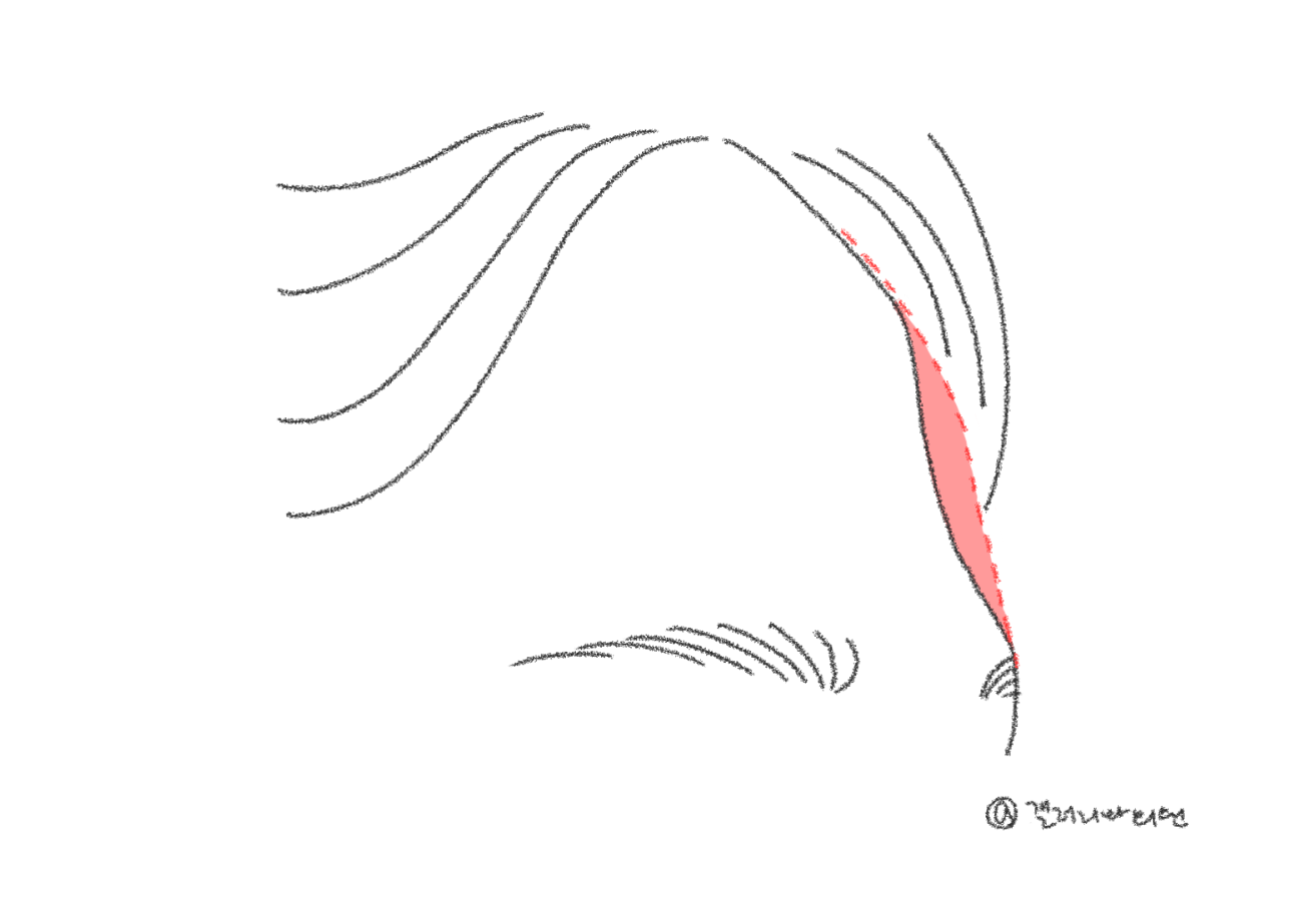 20260130_102605_697c08adce2aa.png 20260130_102605_697c08adce2aa.png