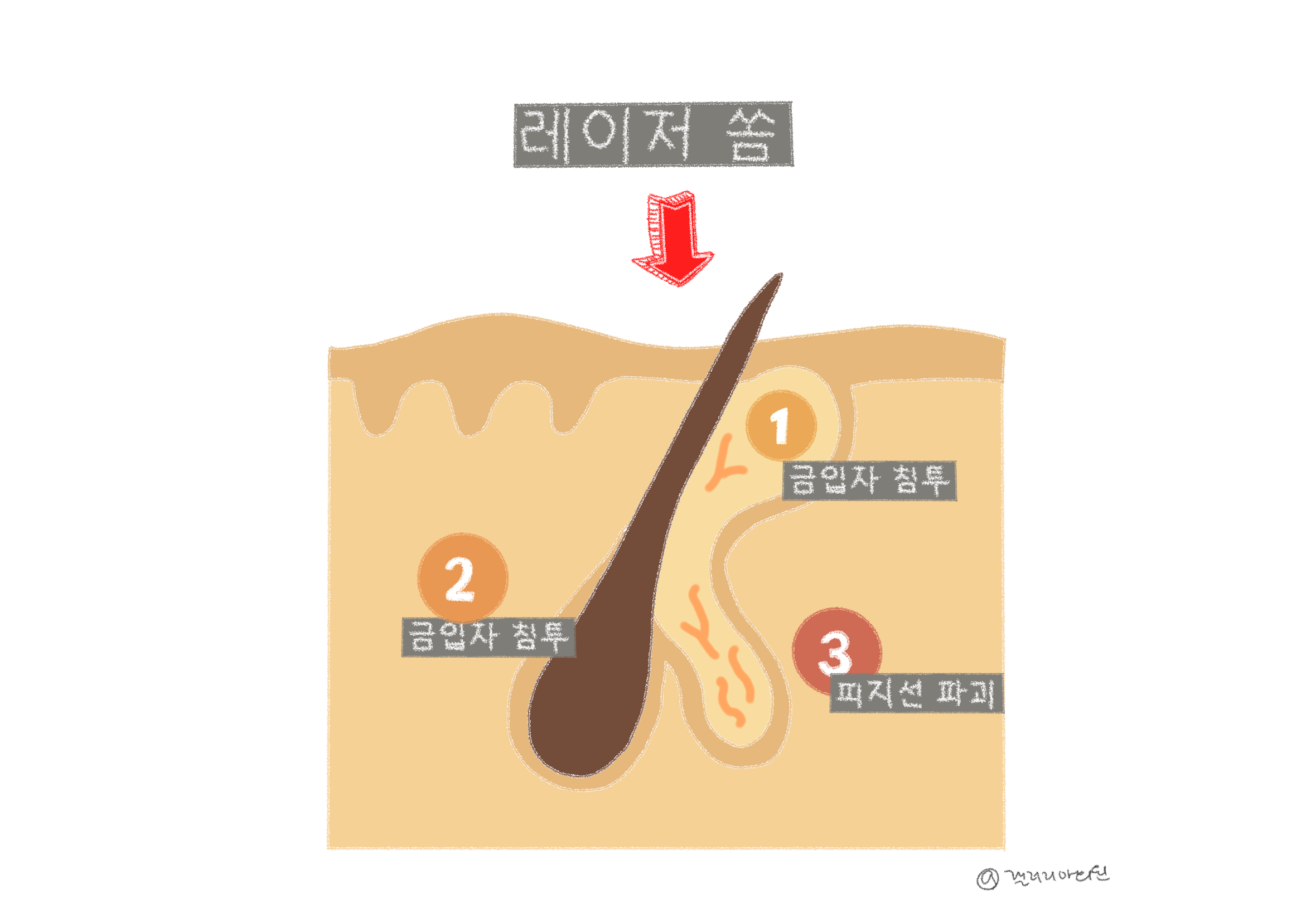 20260204_103909_6982a33d00f84.png 20260204_103909_6982a33d00f84.png