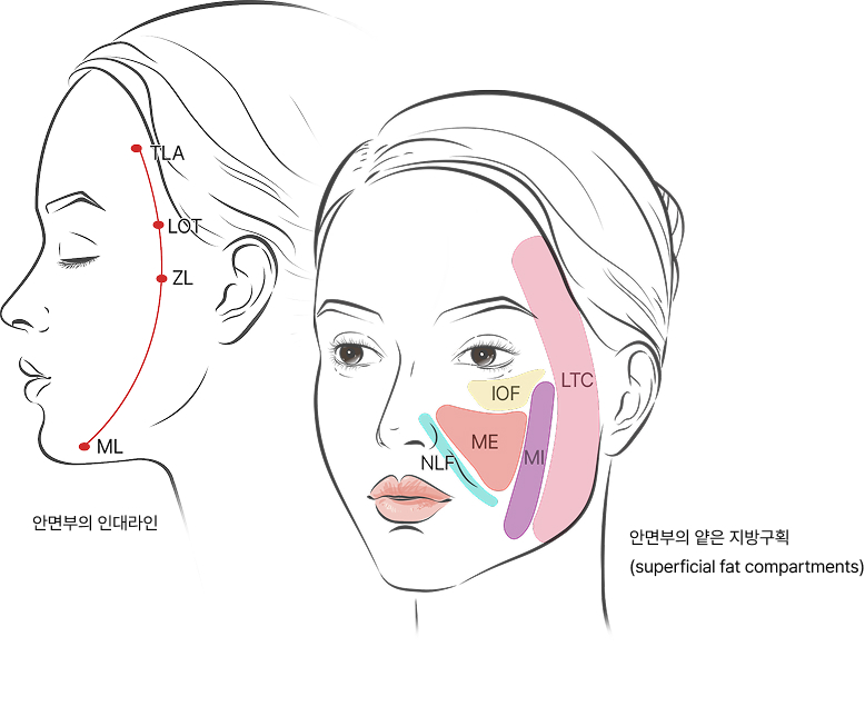 갤러리아가 제안하는 리프팅 전략