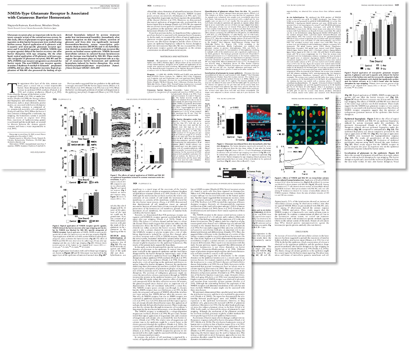글로벌 특허로 입증된 효과