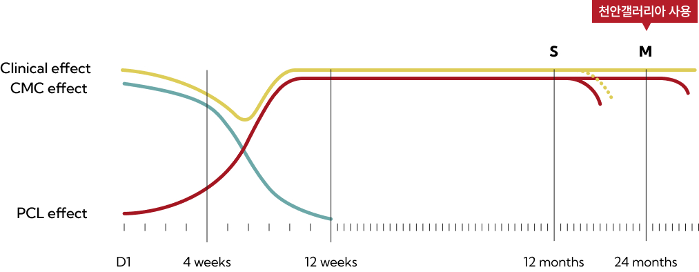 엘란쎄 효과 발현시기